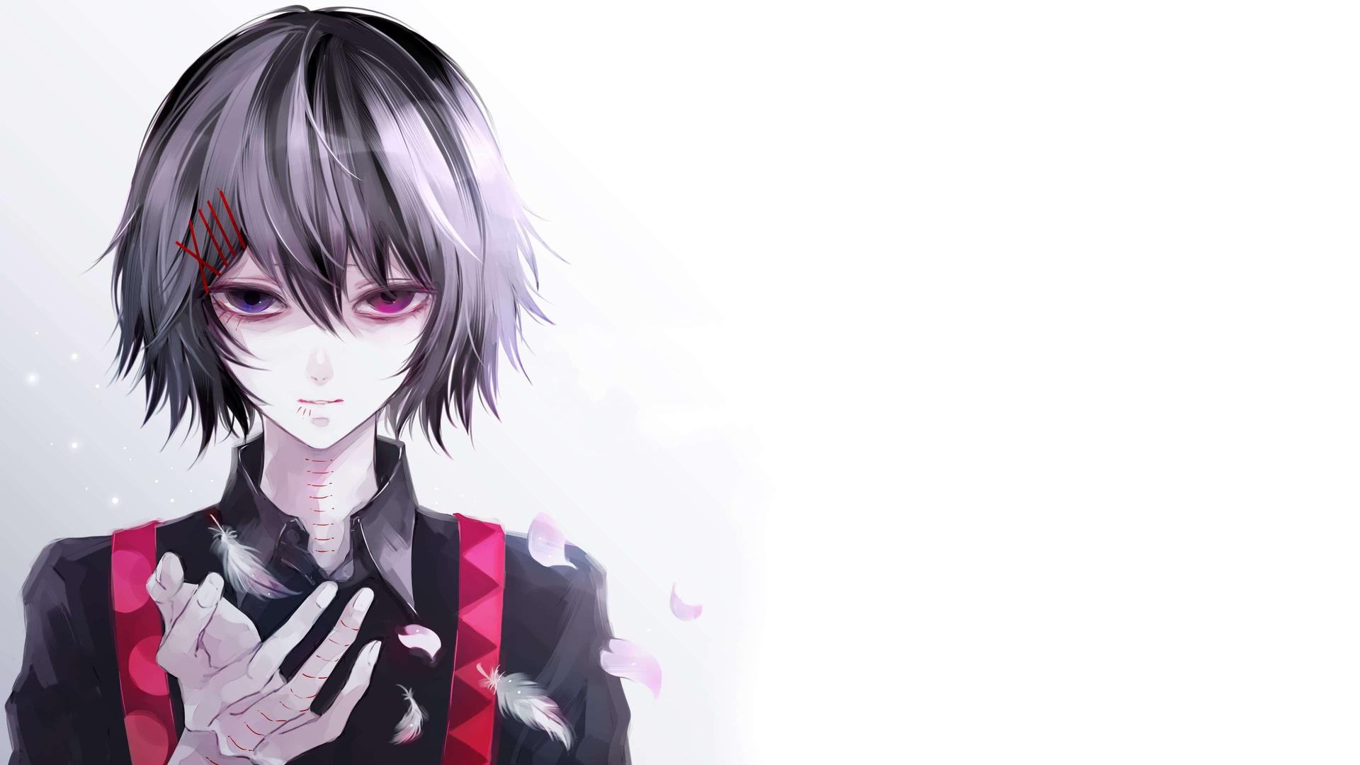 boxmoe_header_banner_img